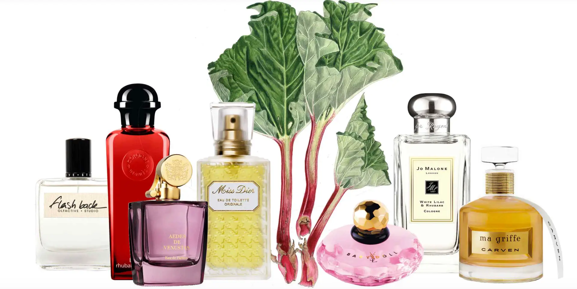 Vegetable notes are now used in some perfumes such as rhubarb